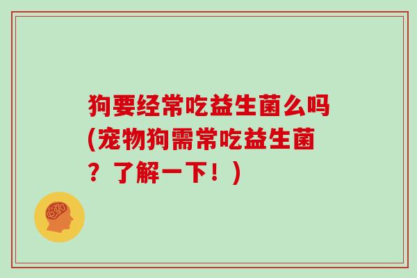 狗要经常吃益生菌么吗(宠物狗需常吃益生菌？了解一下！)