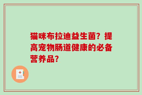 猫咪布拉迪益生菌？提高宠物肠道健康的必备营养品？