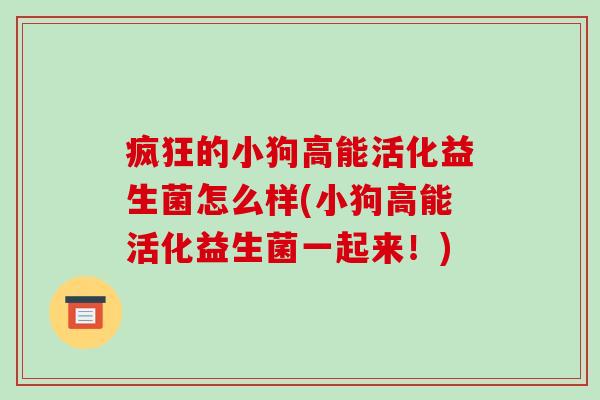 疯狂的小狗高能活化益生菌怎么样(小狗高能活化益生菌一起来！)