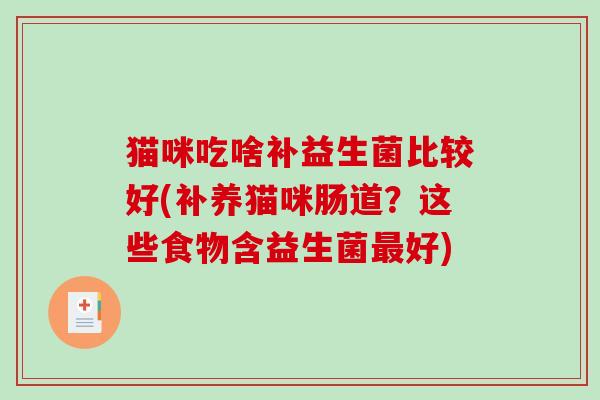 猫咪吃啥补益生菌比较好(补养猫咪肠道？这些食物含益生菌最好)