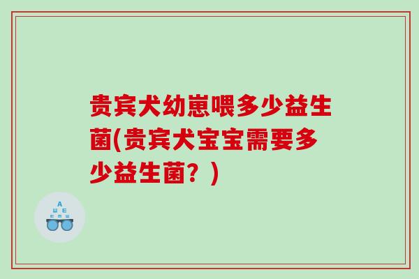 贵宾犬幼崽喂多少益生菌(贵宾犬宝宝需要多少益生菌？)