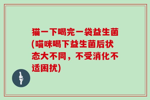 猫一下喝完一袋益生菌(喵咪喝下益生菌后状态大不同，不受消化不适困扰)