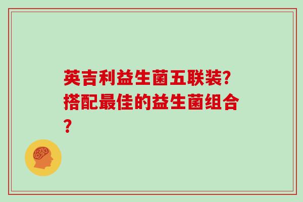 英吉利益生菌五联装？搭配最佳的益生菌组合？