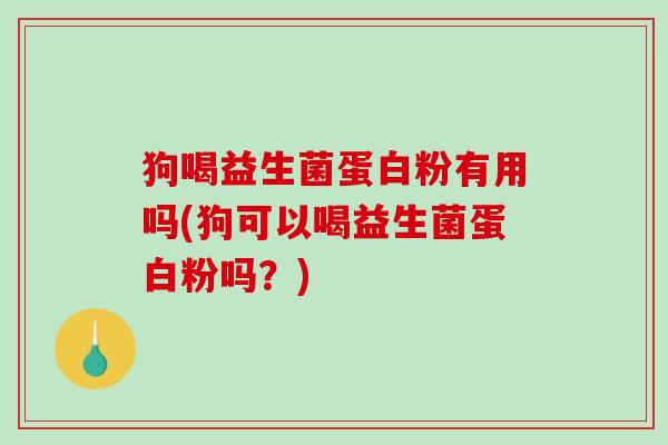 狗喝益生菌蛋白粉有用吗(狗可以喝益生菌蛋白粉吗？)
