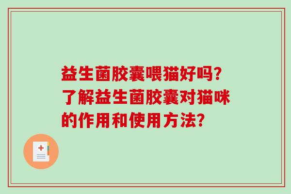 益生菌胶囊喂猫好吗？了解益生菌胶囊对猫咪的作用和使用方法？