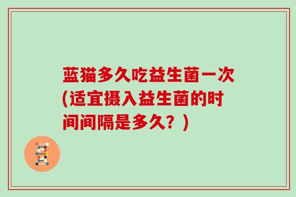 蓝猫多久吃益生菌一次(适宜摄入益生菌的时间间隔是多久？)