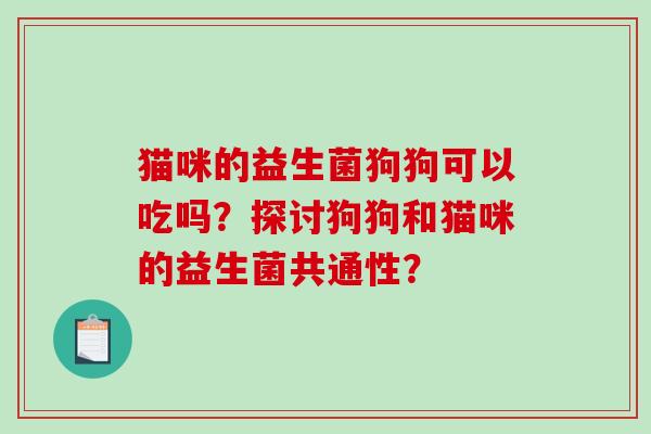 猫咪的益生菌狗狗可以吃吗？探讨狗狗和猫咪的益生菌共通性？