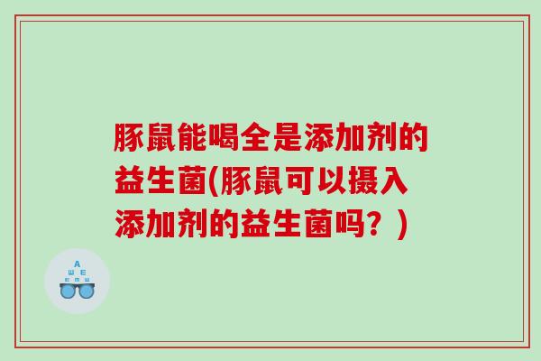 豚鼠能喝全是添加剂的益生菌(豚鼠可以摄入添加剂的益生菌吗？)