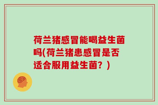 荷兰猪能喝益生菌吗(荷兰猪患是否适合服用益生菌?) 荷兰猪能喝益生菌吗(荷兰猪患是否适合服用益生菌?)