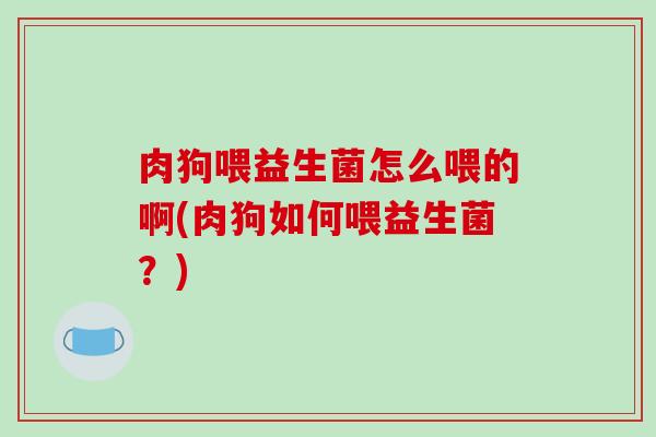 肉狗喂益生菌怎么喂的啊(肉狗如何喂益生菌？)