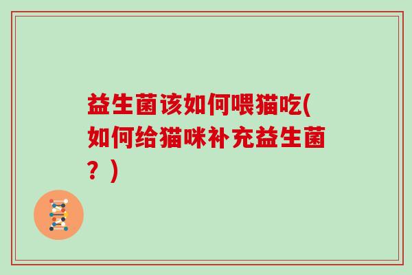 益生菌该如何喂猫吃(如何给猫咪补充益生菌？)