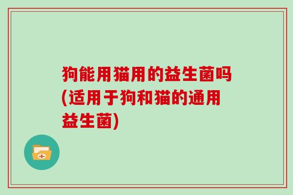 狗能用猫用的益生菌吗(适用于狗和猫的通用益生菌)