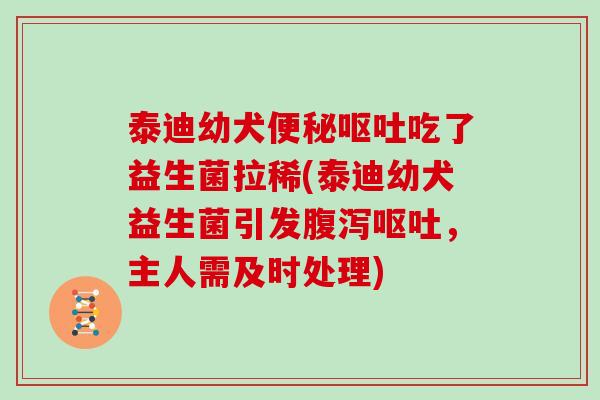 泰迪幼犬吃了益生菌拉稀(泰迪幼犬益生菌引发,主人需及时处理) 泰迪幼犬吃了益生菌拉稀(泰迪幼犬益生菌引发,主人需及时处理)