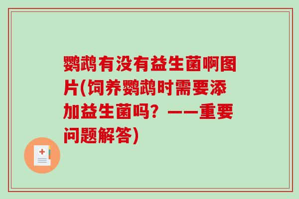 鹦鹉有没有益生菌啊图片(饲养鹦鹉时需要添加益生菌吗？——重要问题解答)