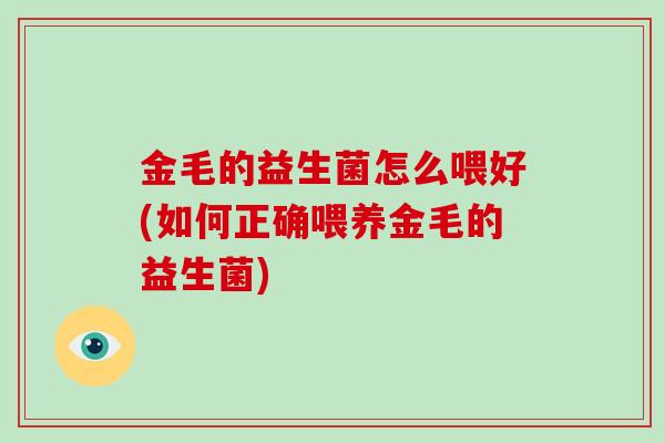 金毛的益生菌怎么喂好(如何正确喂养金毛的益生菌)