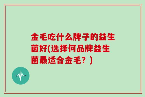金毛吃什么牌子的益生菌好(选择何品牌益生菌最适合金毛？)