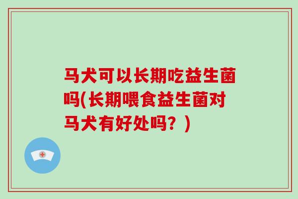 马犬可以长期吃益生菌吗(长期喂食益生菌对马犬有好处吗？)