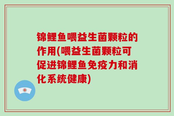 锦鲤鱼喂益生菌颗粒的作用(喂益生菌颗粒可促进锦鲤鱼力和消化系统健康)