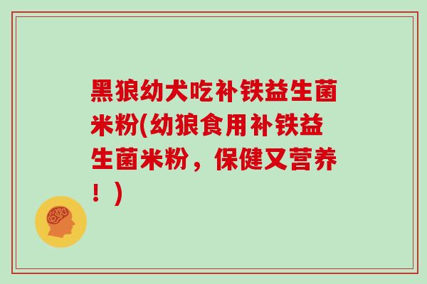 黑狼幼犬吃补铁益生菌米粉(幼狼食用补铁益生菌米粉，保健又营养！)