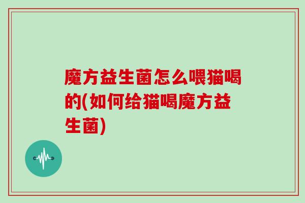 魔方益生菌怎么喂猫喝的(如何给猫喝魔方益生菌)
