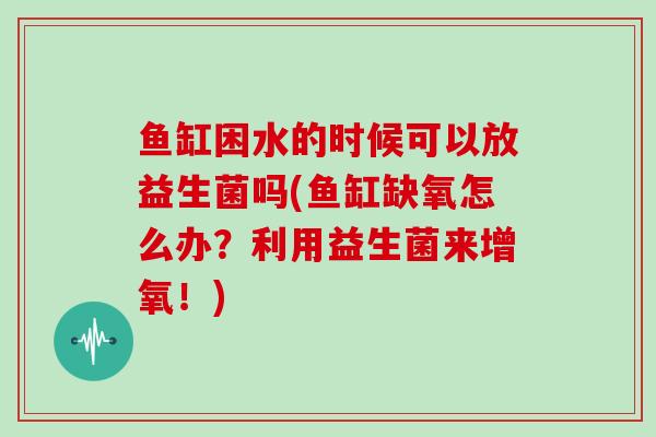 鱼缸困水的时候可以放益生菌吗(鱼缸缺氧怎么办？利用益生菌来增氧！)