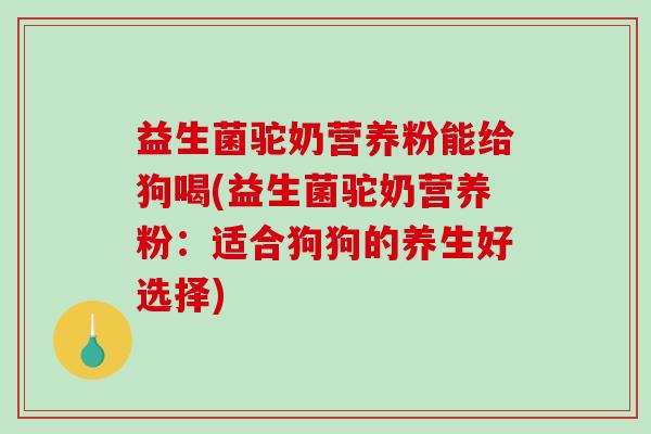 益生菌驼奶营养粉能给狗喝(益生菌驼奶营养粉：适合狗狗的养生好选择)