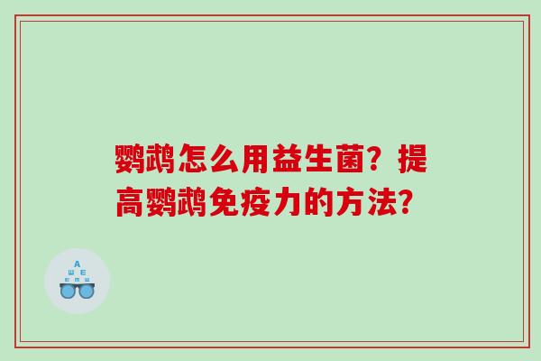 鹦鹉怎么用益生菌?提高鹦鹉力的方法? 鹦鹉怎么用益生菌?提高鹦鹉力的方法?