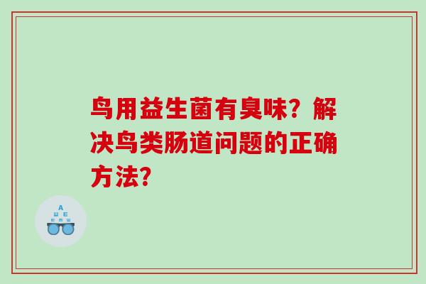 鸟用益生菌有臭味？解决鸟类肠道问题的正确方法？
