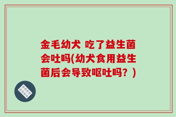 金毛幼犬 吃了益生菌会吐吗(幼犬食用益生菌后会导致呕吐吗？)