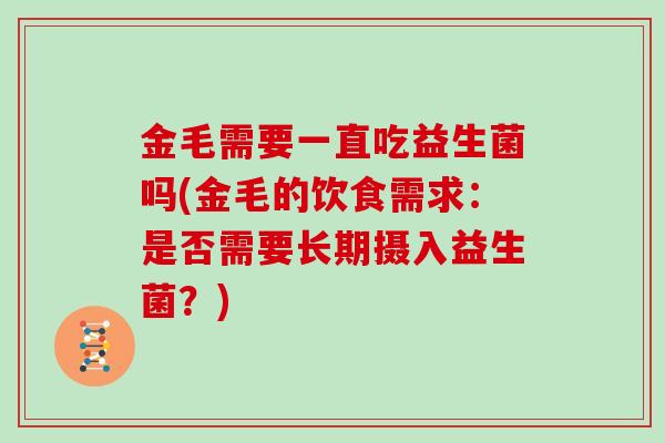 金毛需要一直吃益生菌吗(金毛的饮食需求：是否需要长期摄入益生菌？)