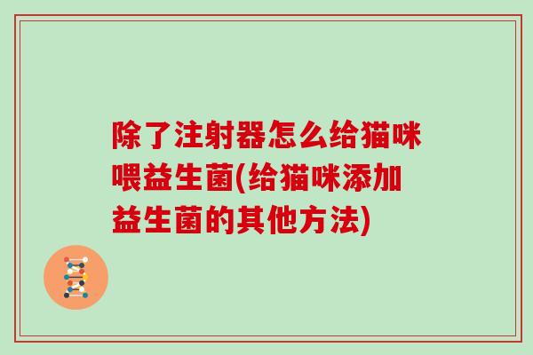 除了注射器怎么给猫咪喂益生菌(给猫咪添加益生菌的其他方法)