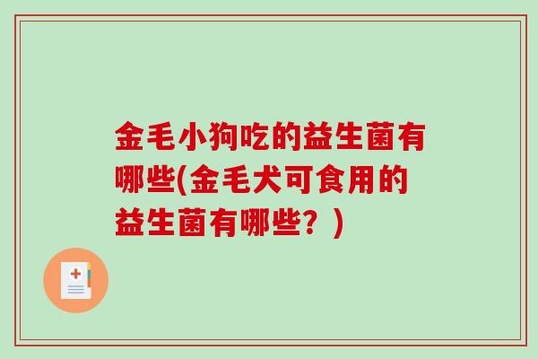金毛小狗吃的益生菌有哪些(金毛犬可食用的益生菌有哪些？)