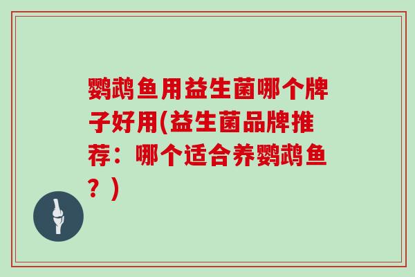 鹦鹉鱼用益生菌哪个牌子好用(益生菌品牌推荐：哪个适合养鹦鹉鱼？)