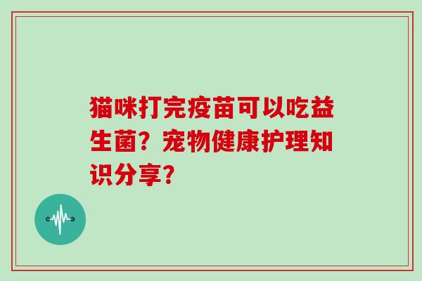 猫咪打完疫苗可以吃益生菌？宠物健康护理知识分享？