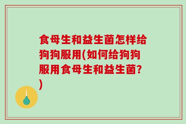 食母生和益生菌怎样给狗狗服用(如何给狗狗服用食母生和益生菌?) 食母生和益生菌怎样给狗狗服用(如何给狗狗服用食母生和益生菌?)