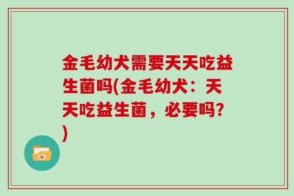 金毛幼犬需要天天吃益生菌吗(金毛幼犬：天天吃益生菌，必要吗？)
