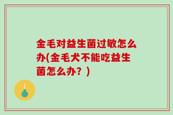 金毛对益生菌过敏怎么办(金毛犬不能吃益生菌怎么办？)