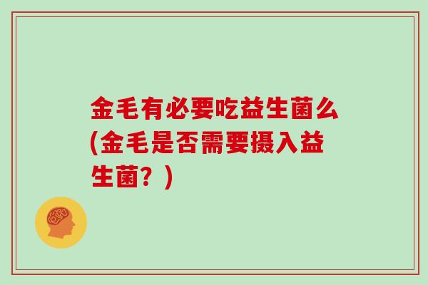金毛有必要吃益生菌么(金毛是否需要摄入益生菌？)