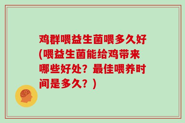 鸡群喂益生菌喂多久好(喂益生菌能给鸡带来哪些好处？最佳喂养时间是多久？)