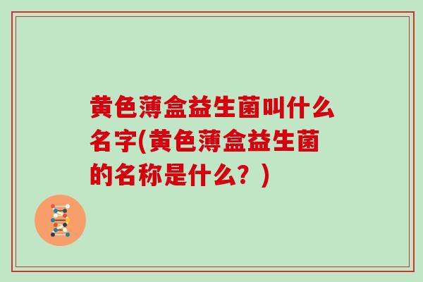 黄色薄盒益生菌叫什么名字(黄色薄盒益生菌的名称是什么？)
