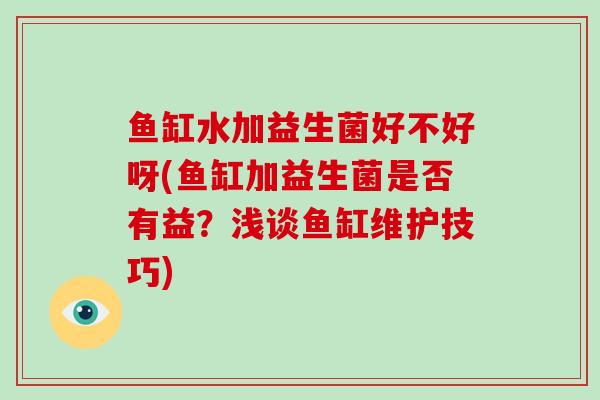 鱼缸水加益生菌好不好呀(鱼缸加益生菌是否有益？浅谈鱼缸维护技巧)