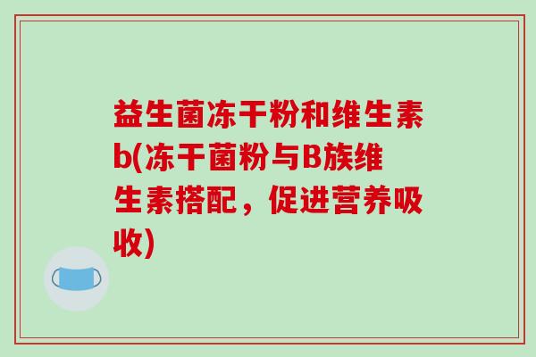 益生菌冻干粉和维生素b(冻干菌粉与B族维生素搭配，促进营养吸收)