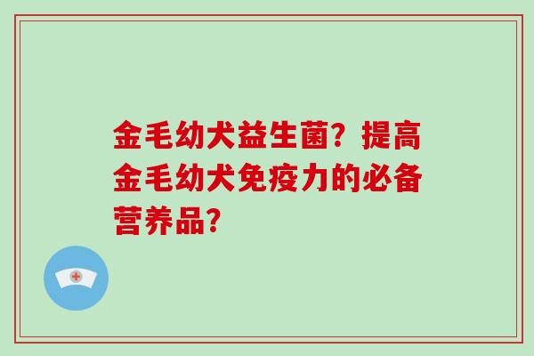 金毛幼犬益生菌？提高金毛幼犬免疫力的必备营养品？