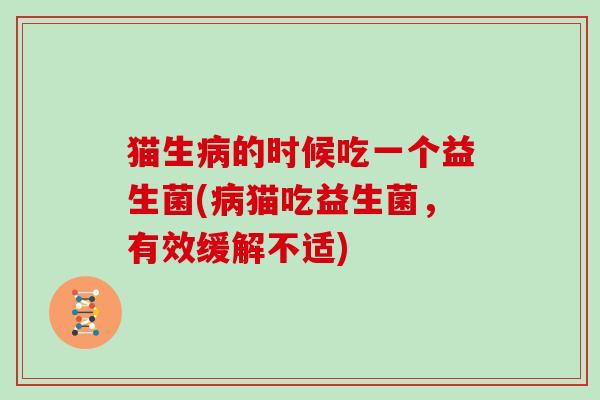 猫生病的时候吃一个益生菌(病猫吃益生菌，有效缓解不适)