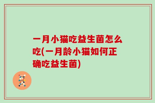一月小猫吃益生菌怎么吃(一月龄小猫如何正确吃益生菌)