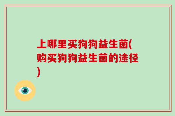 上哪里买狗狗益生菌(购买狗狗益生菌的途径)