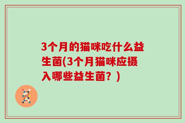3个月的猫咪吃什么益生菌(3个月猫咪应摄入哪些益生菌？)