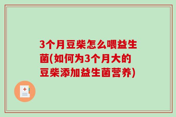 3个月豆柴怎么喂益生菌(如何为3个月大的豆柴添加益生菌营养)