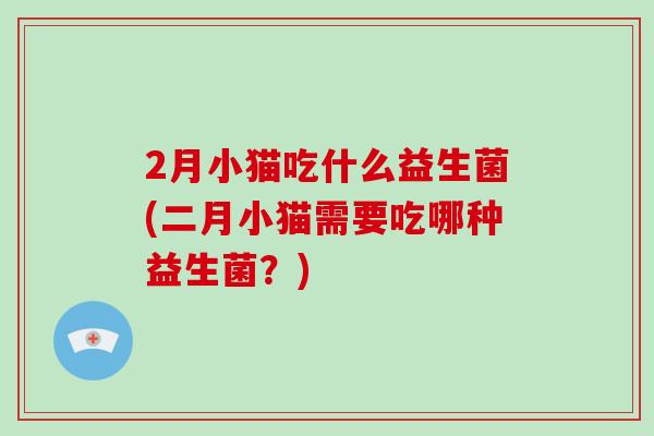 2月小猫吃什么益生菌(二月小猫需要吃哪种益生菌？)