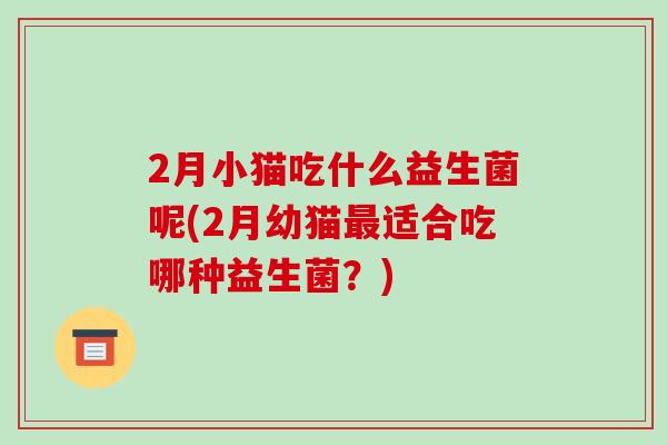 2月小猫吃什么益生菌呢(2月幼猫适合吃哪种益生菌?) 2月小猫吃什么益生菌呢(2月幼猫适合吃哪种益生菌?)